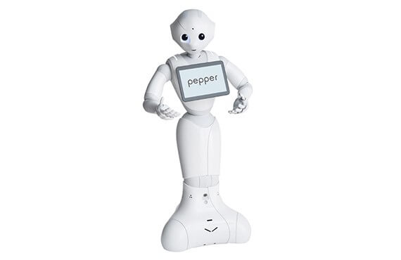 Pepper